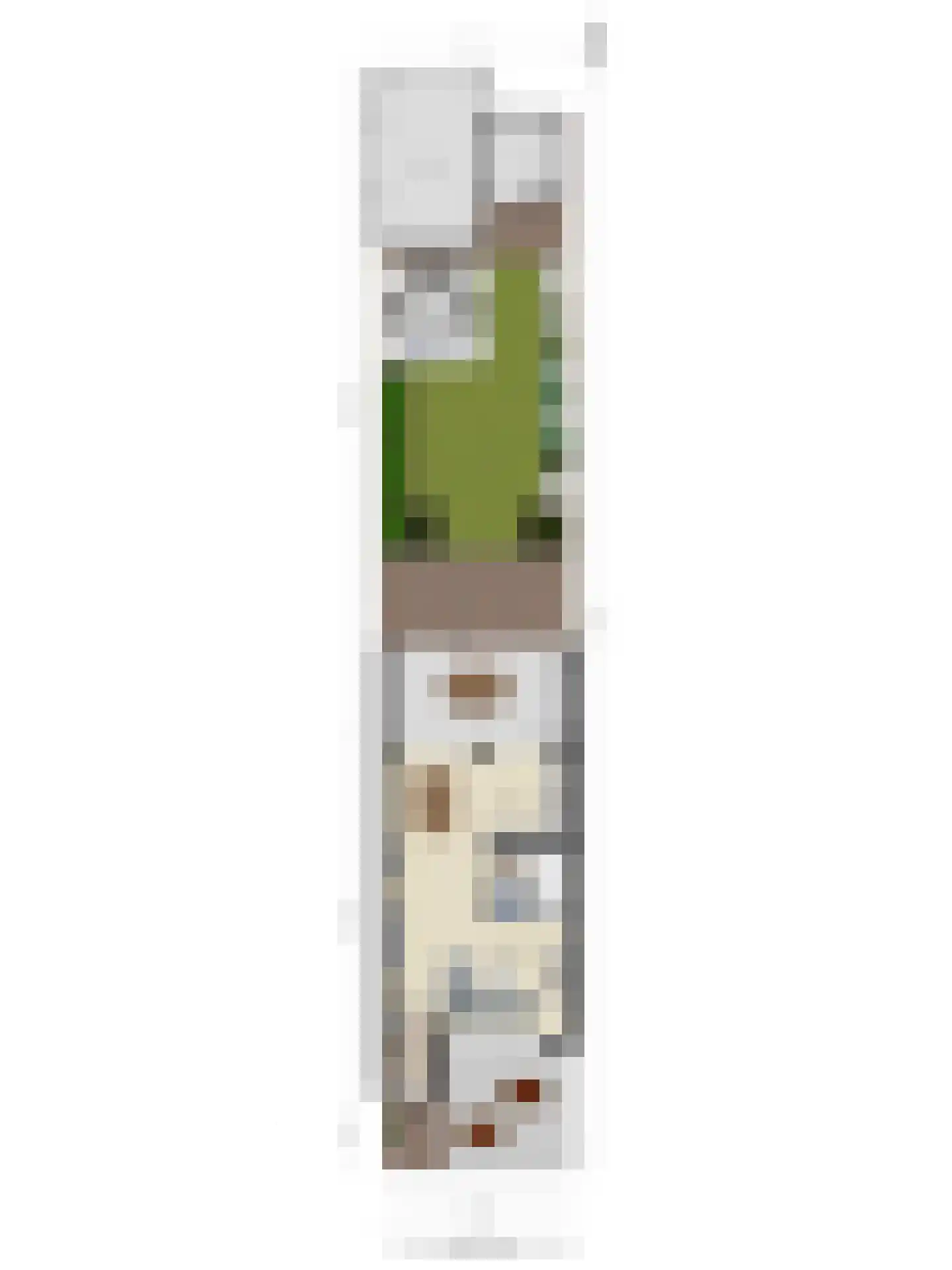 Sleedoorn 29 Cuijk thumbnail 35