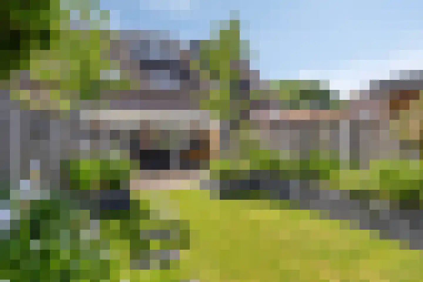 Sleedoorn 29 Cuijk thumbnail 5