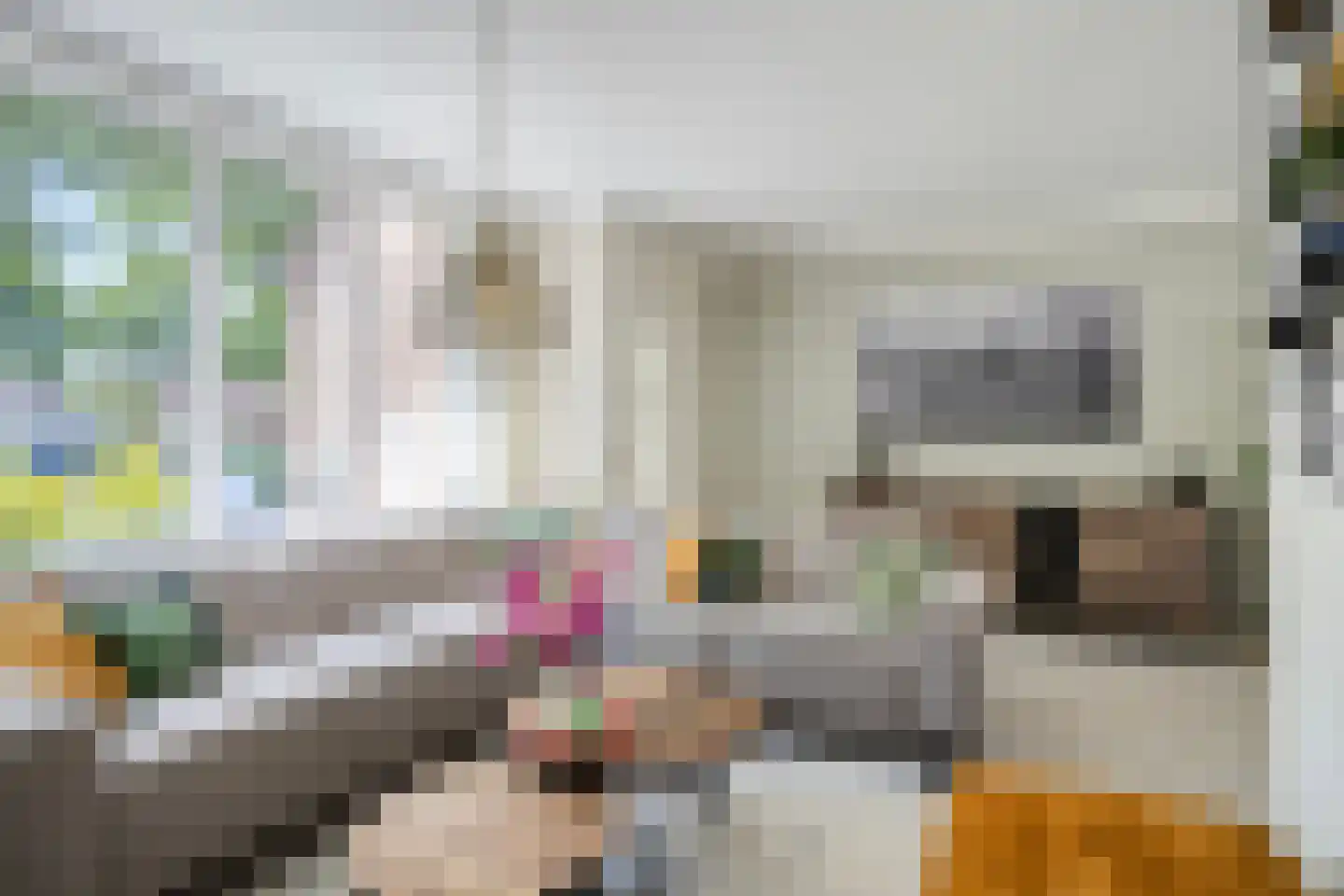 Sleedoorn 29 Cuijk thumbnail 7