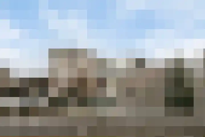 Sleedoorn 31 Zeewolde thumbnail 4