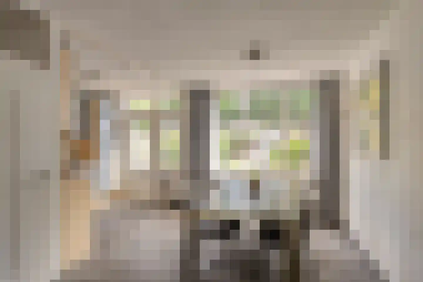 Sleedoorn 34 Cuijk thumbnail 15
