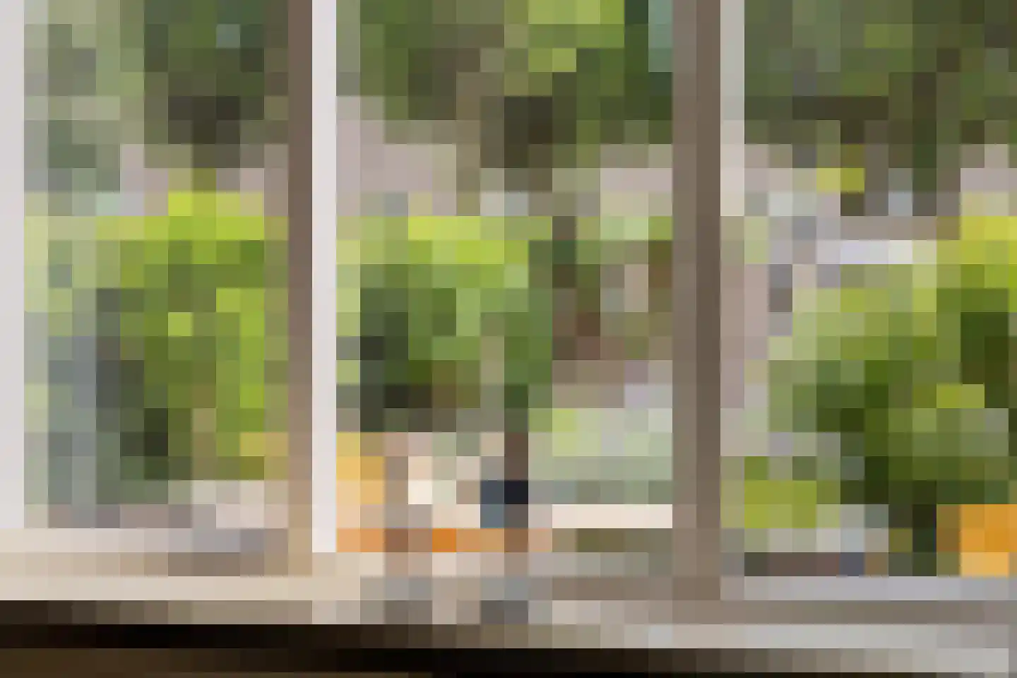 Sleedoorn 34 Cuijk thumbnail 16