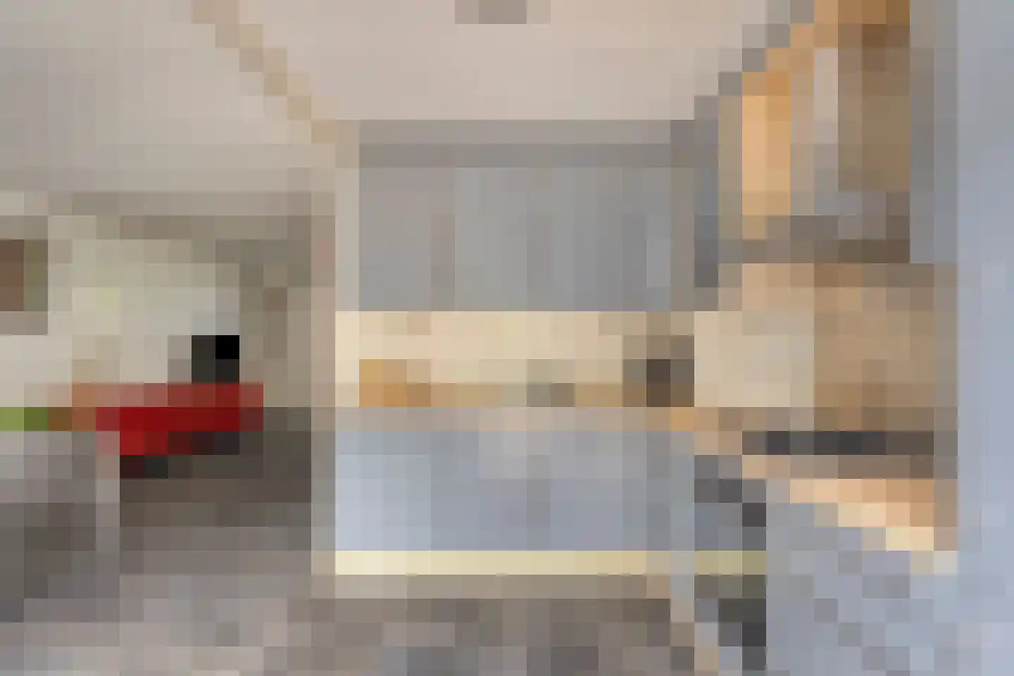 Sleedoorn 34 Cuijk thumbnail 19