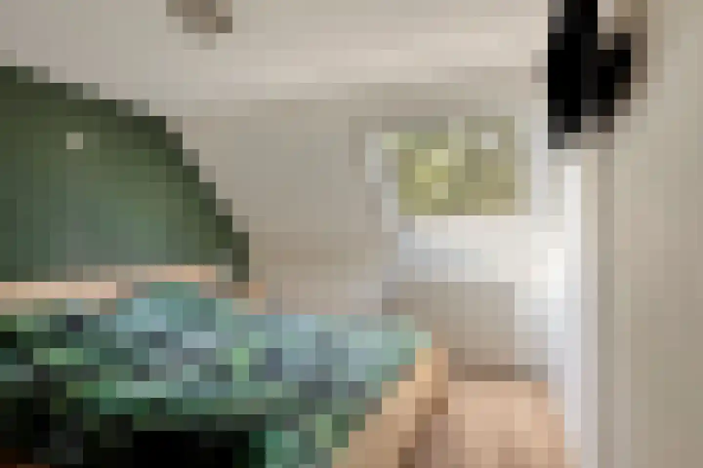 Sleedoorn 34 Cuijk thumbnail 20