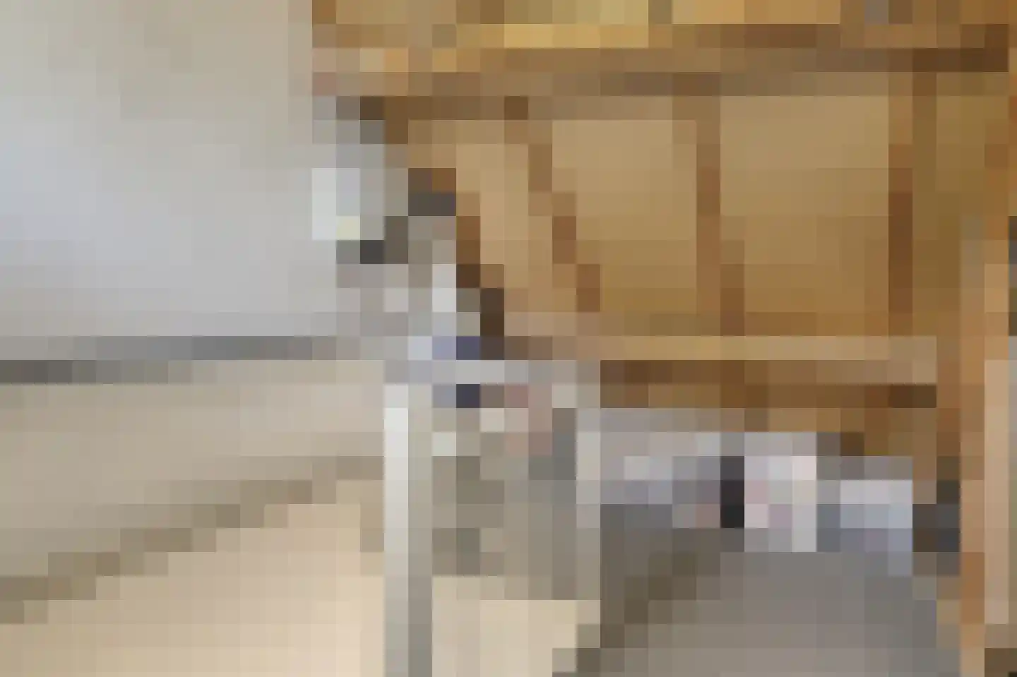 Sleedoorn 34 Cuijk thumbnail 26