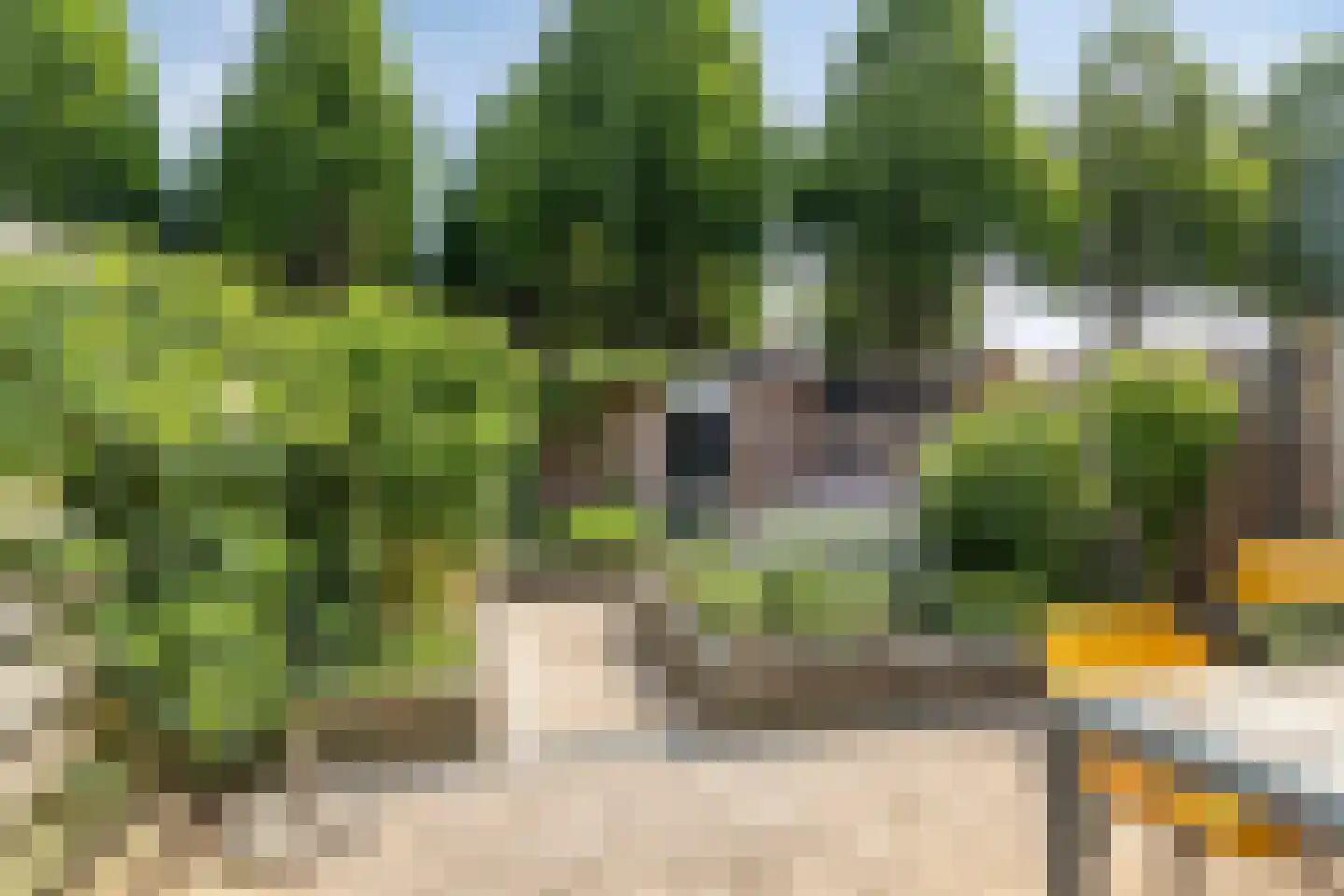 Sleedoorn 34 Cuijk thumbnail 30