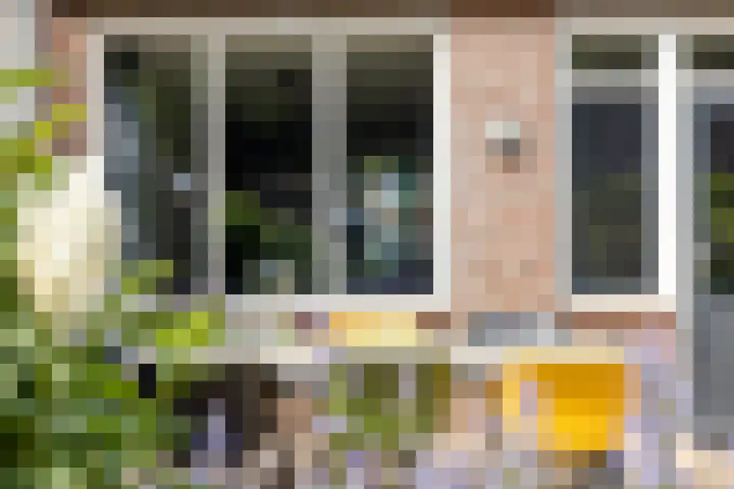 Sleedoorn 34 Cuijk thumbnail 33