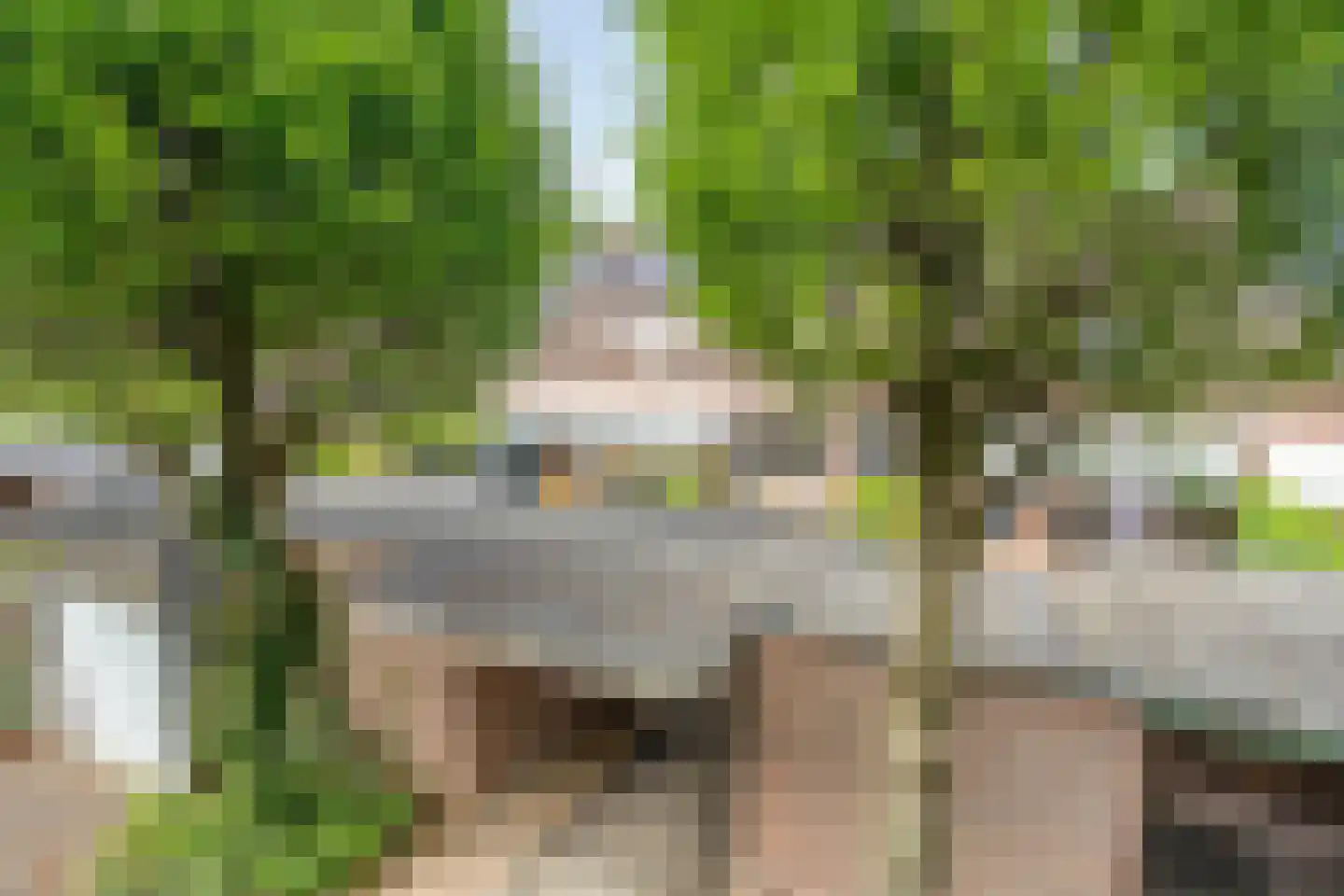 Sleedoorn 34 Cuijk thumbnail 36
