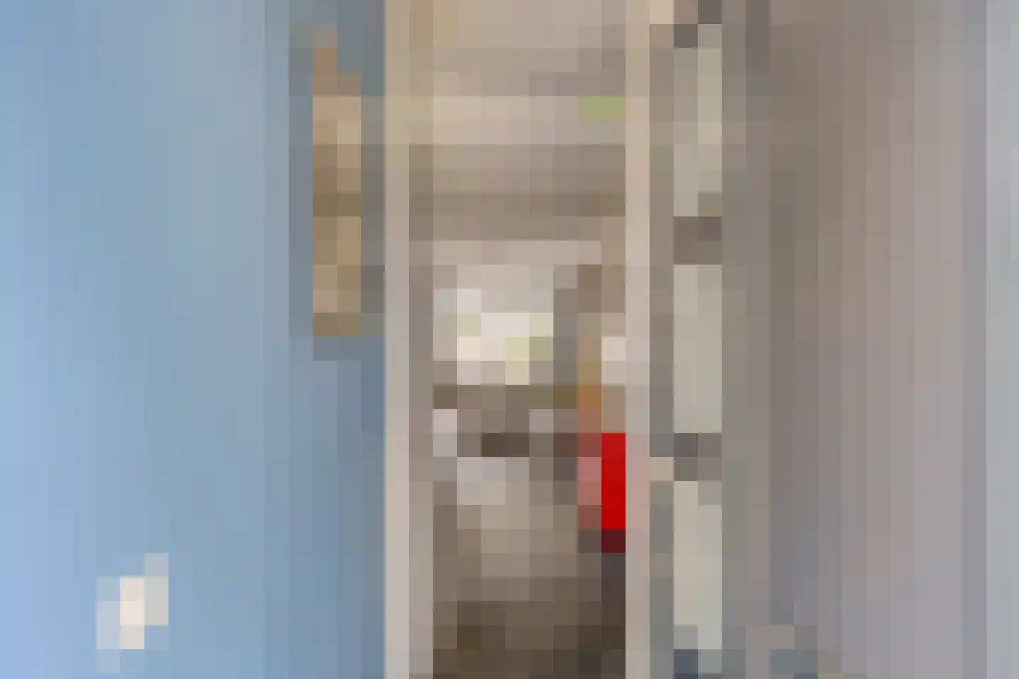 Sleedoorn 34 Cuijk thumbnail 7