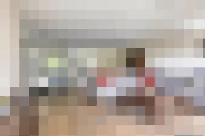 Sleedoorn 37 Bergambacht thumbnail 10