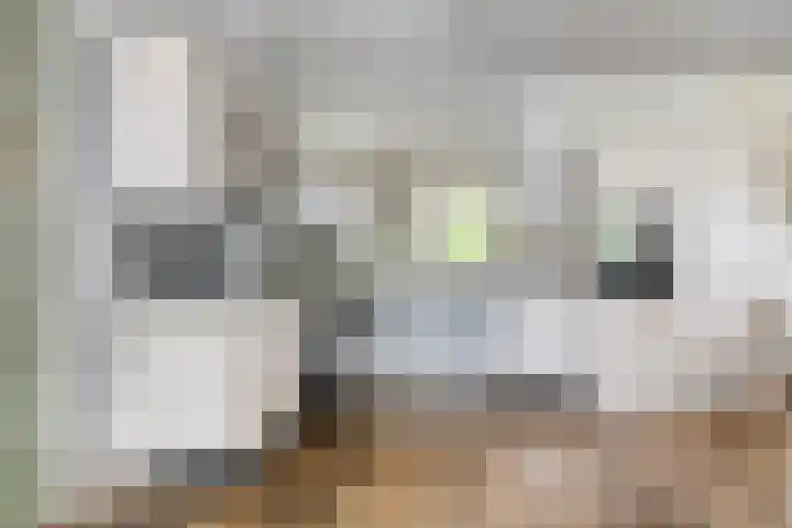 Sleedoorn 37 Bergambacht thumbnail 14