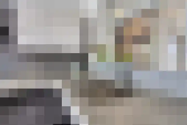Sleedoorn 37 Bergambacht thumbnail 15