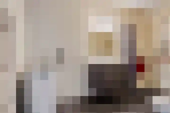 Sleedoorn 37 Bergambacht thumbnail 18