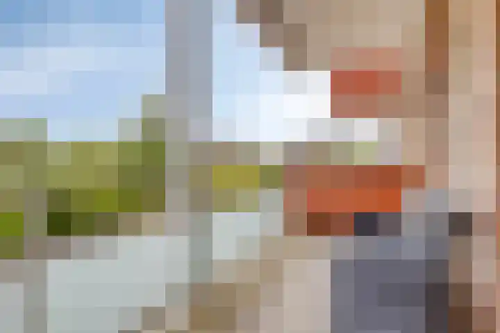 Sleedoorn 37 Bergambacht thumbnail 21