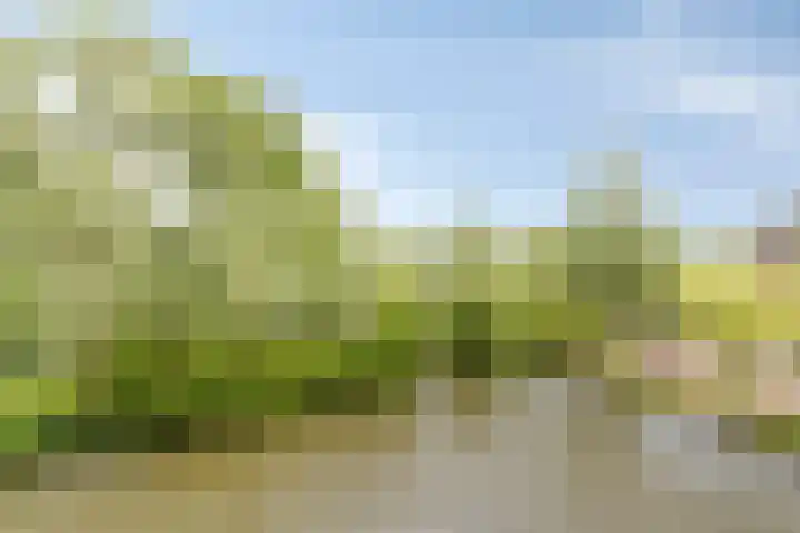 Sleedoorn 37 Bergambacht thumbnail 22