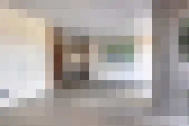 Sleedoorn 37 Bergambacht thumbnail 27