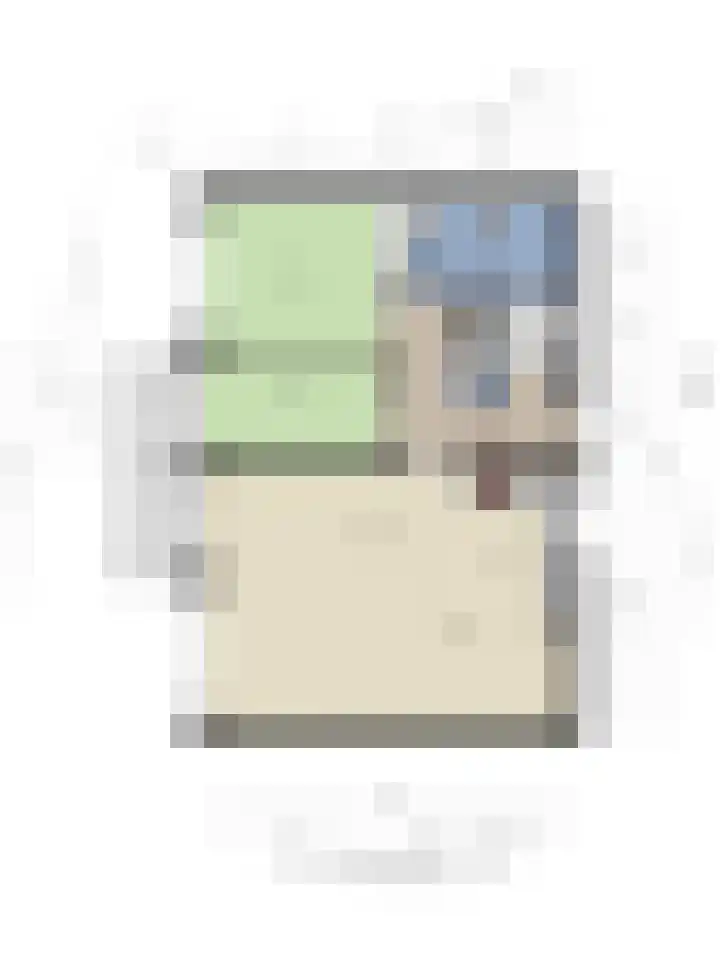 Sleedoorn 37 Bergambacht thumbnail 29