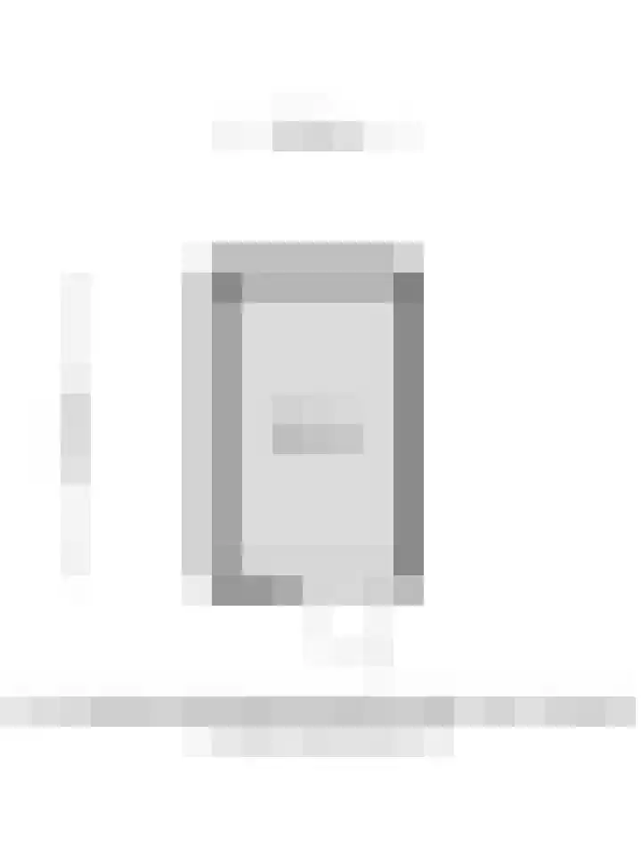 Sleedoorn 37 Bergambacht thumbnail 30
