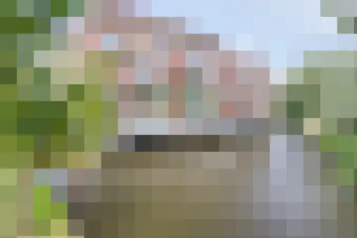 Sleedoorn 37 Bergambacht thumbnail 32