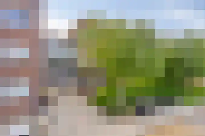 Sleedoorn 37 Bergambacht thumbnail 4