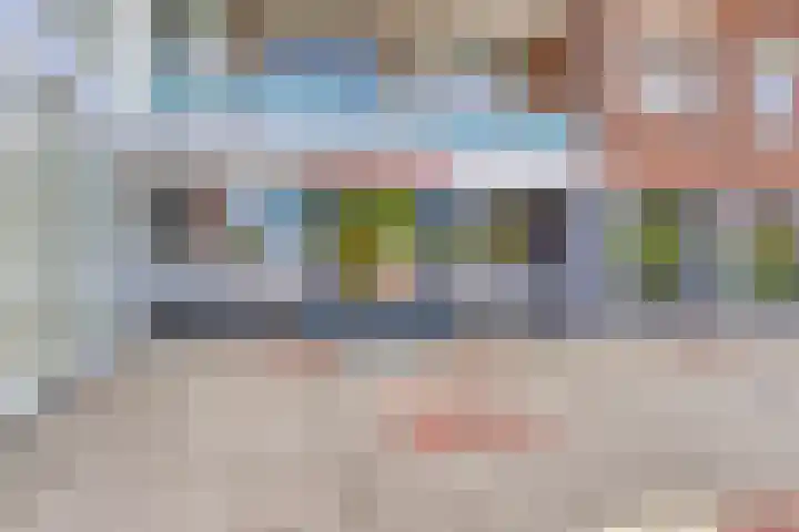 Sleedoorn 37 Bergambacht thumbnail 5