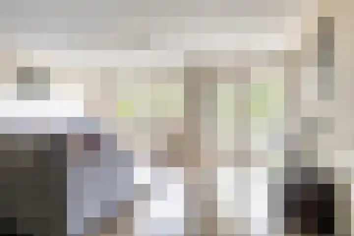 Sleedoorn 37 Bergambacht thumbnail 9