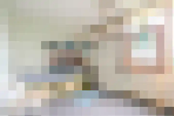 Sleedoorn 39 Geldrop thumbnail 15