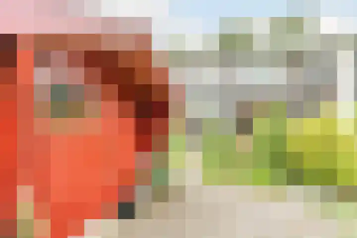 Sleedoorn 39 Geldrop thumbnail 18