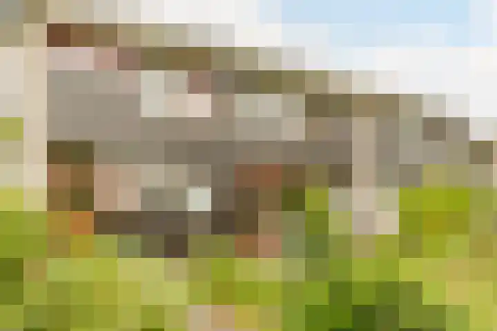Sleedoorn 39 Geldrop thumbnail 19