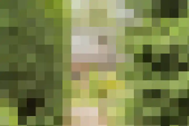 Sleedoorn 39 Geldrop thumbnail 20