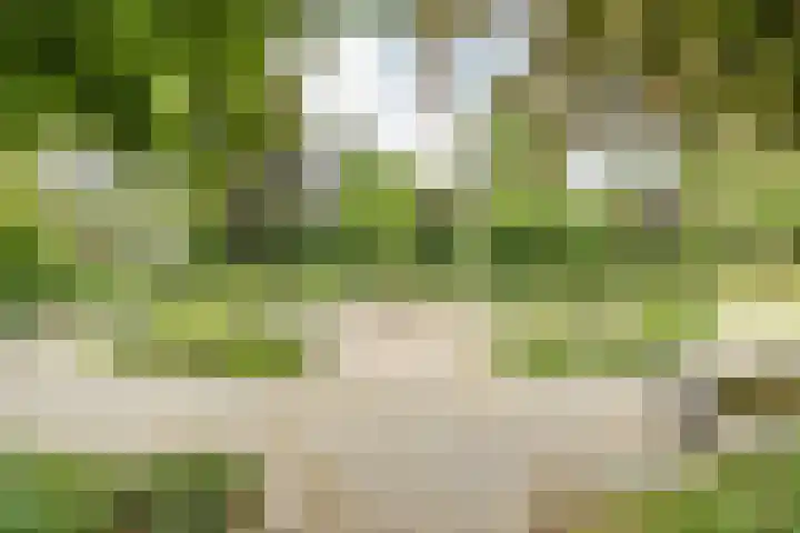 Sleedoorn 39 Geldrop thumbnail 21