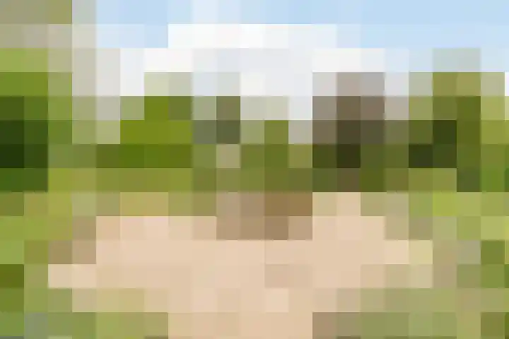 Sleedoorn 39 Geldrop thumbnail 22