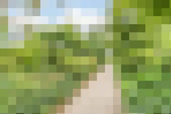 Sleedoorn 39 Geldrop thumbnail 23