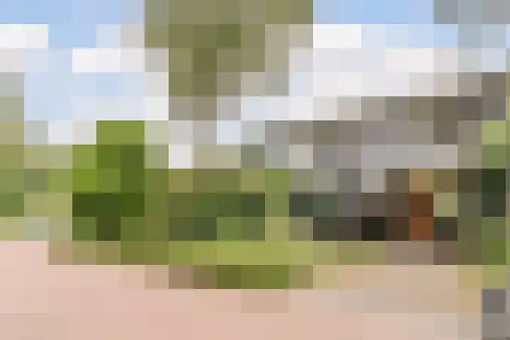 Sleedoorn 39 Geldrop thumbnail 4