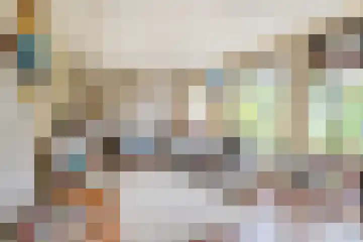 Sleedoorn 39 Geldrop thumbnail 8