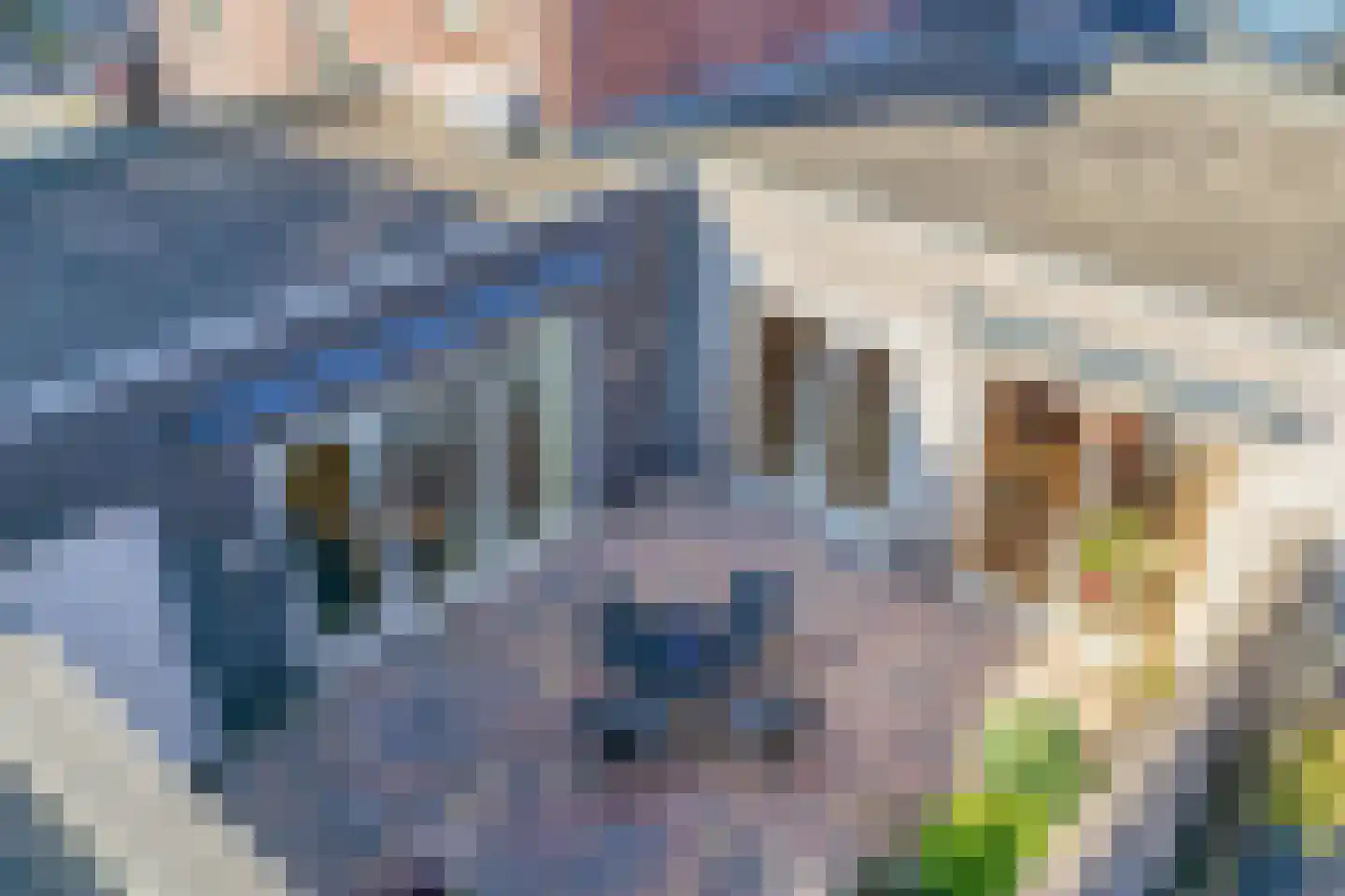 Sleedoorn 4 Bergambacht thumbnail 4