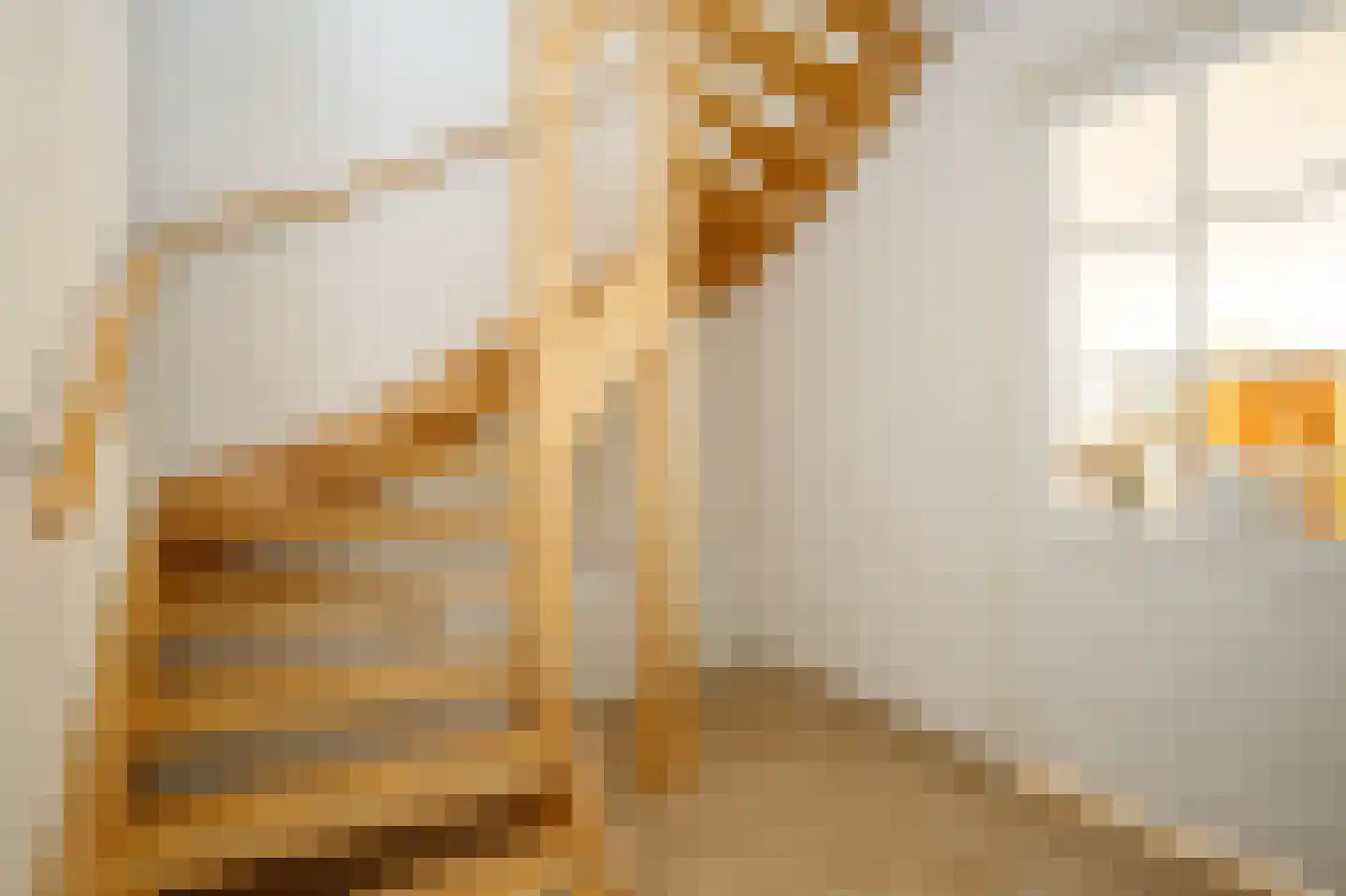 Sleedoorn 4 Bergambacht thumbnail 8