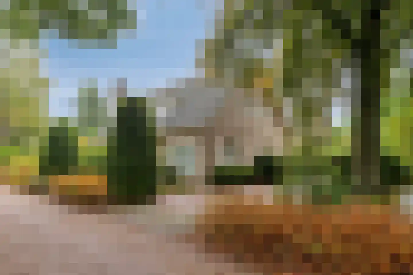 Sleedoorn 51 Geldrop thumbnail 10