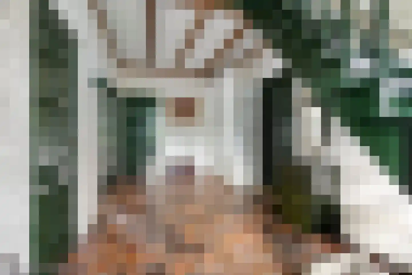 Sleedoorn 51 Geldrop thumbnail 12