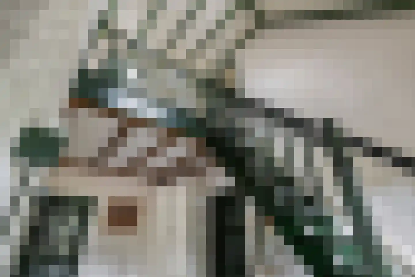 Sleedoorn 51 Geldrop thumbnail 13