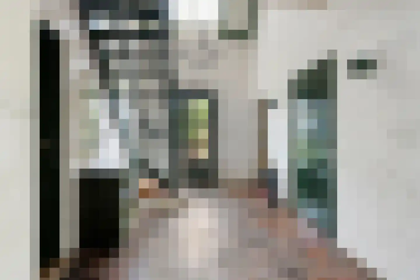 Sleedoorn 51 Geldrop thumbnail 14