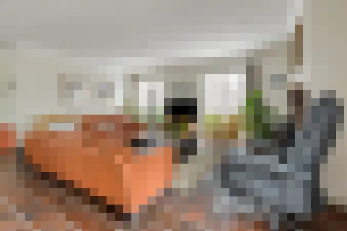 Sleedoorn 51 Geldrop thumbnail 17