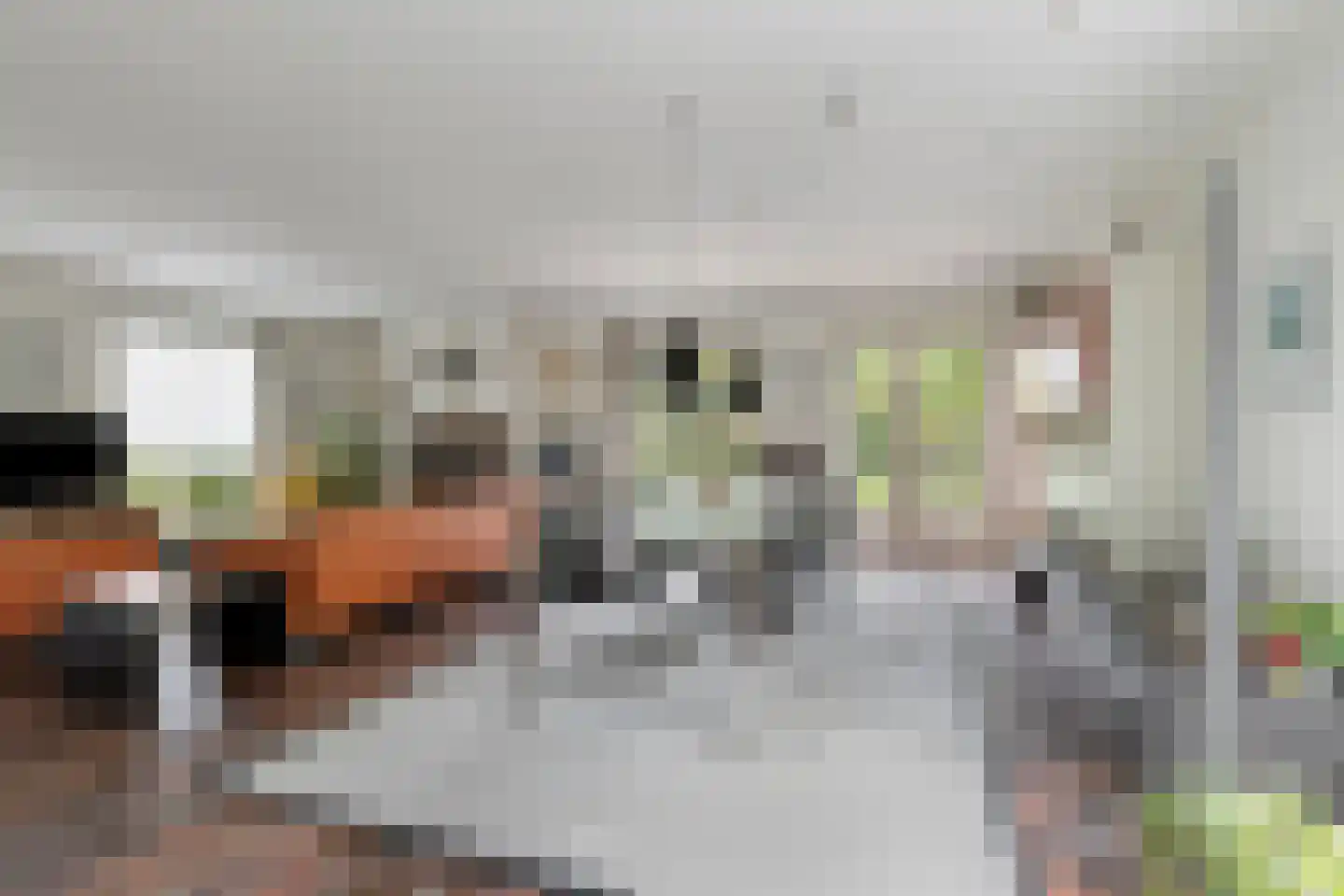 Sleedoorn 51 Geldrop thumbnail 18