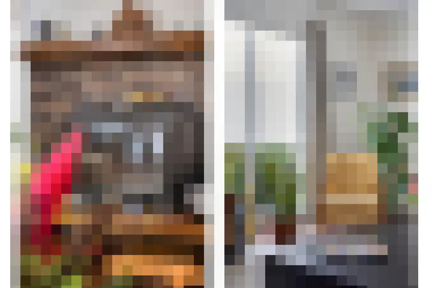 Sleedoorn 51 Geldrop thumbnail 20