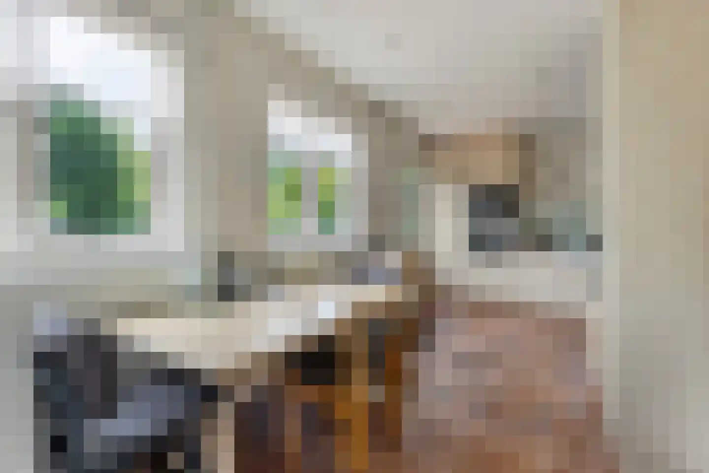 Sleedoorn 51 Geldrop thumbnail 21