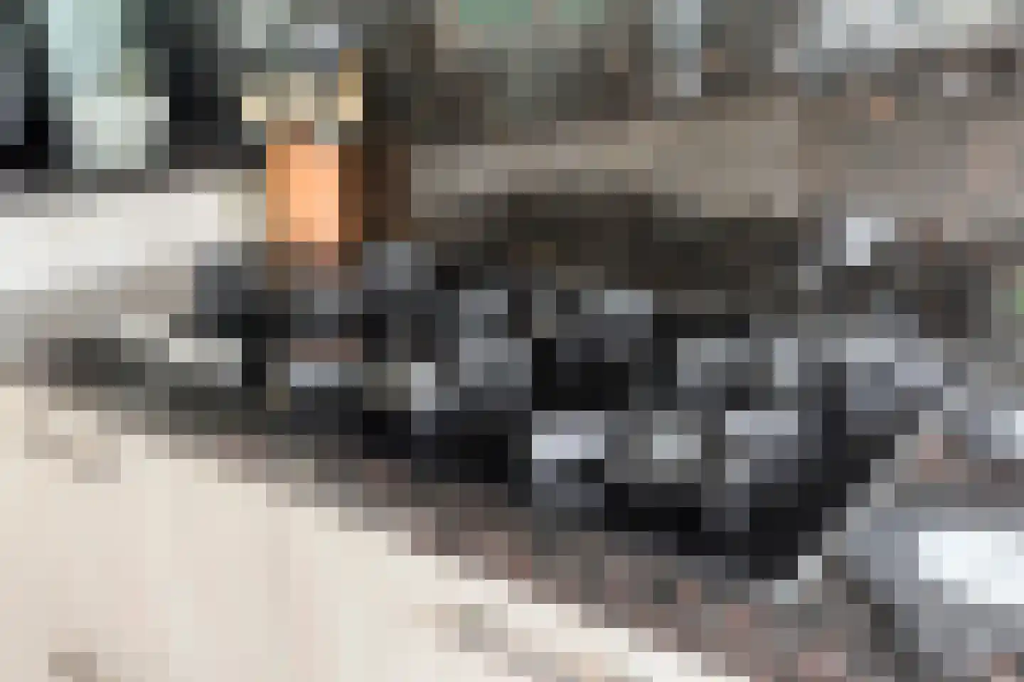 Sleedoorn 51 Geldrop thumbnail 26