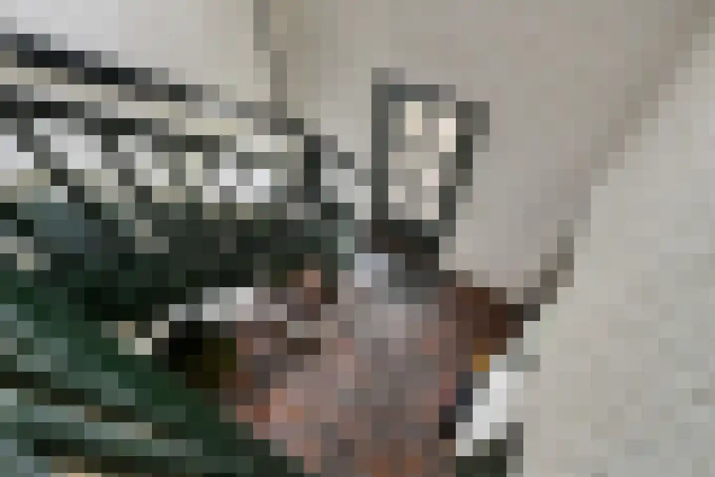 Sleedoorn 51 Geldrop thumbnail 29