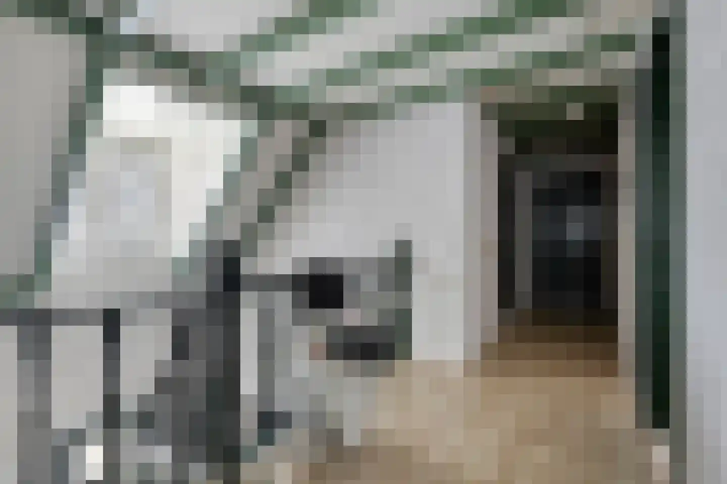 Sleedoorn 51 Geldrop thumbnail 30