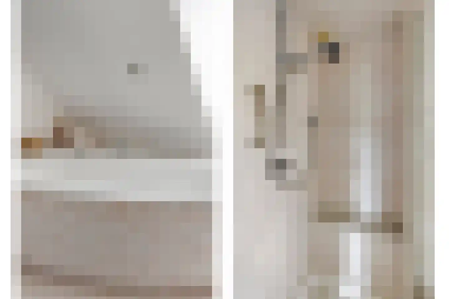 Sleedoorn 51 Geldrop thumbnail 36