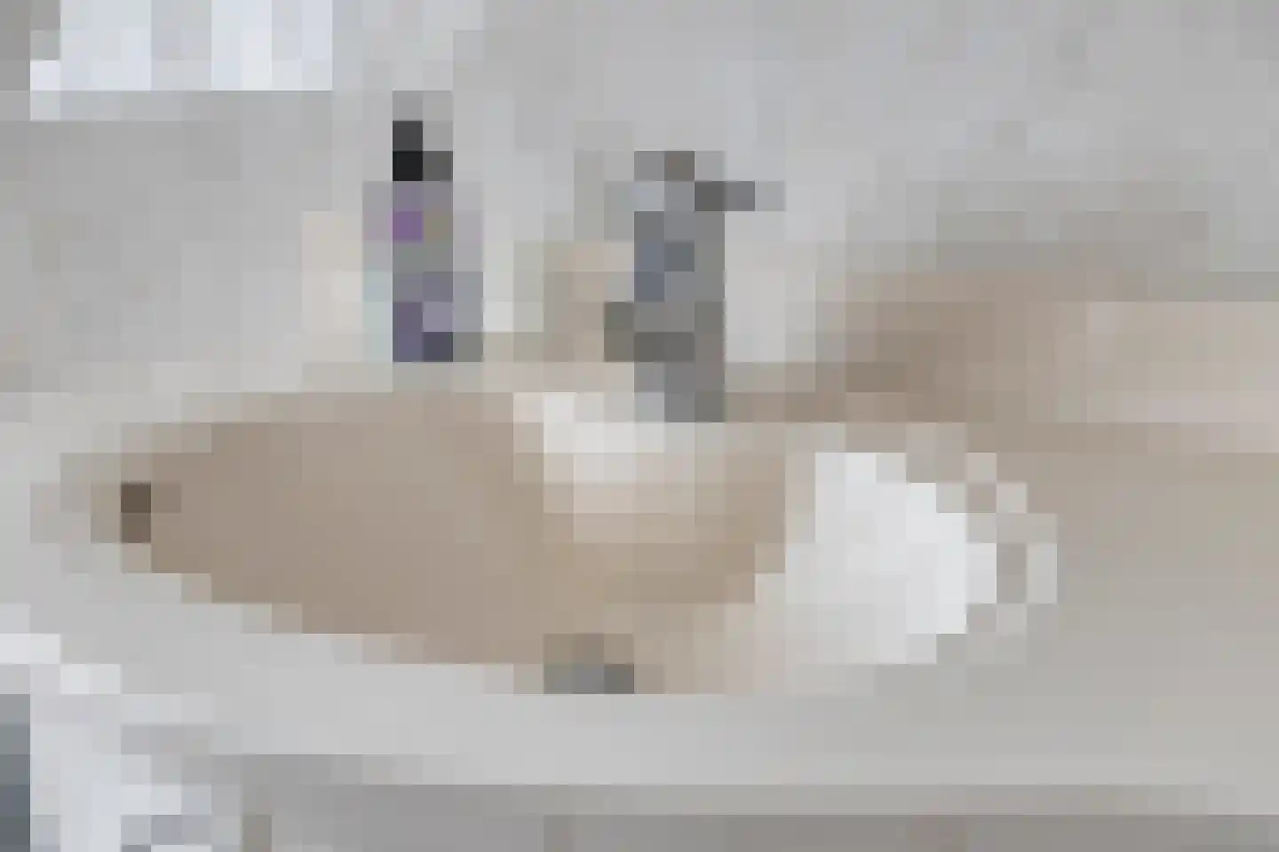 Sleedoorn 51 Geldrop thumbnail 37